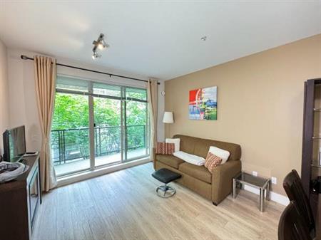 UBC fully furnished 1 Bedroom + Den