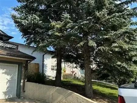 Beautiful Detached 4 bedroom house with double attached garage | 131 Woodglen Road Southwest, Calgary