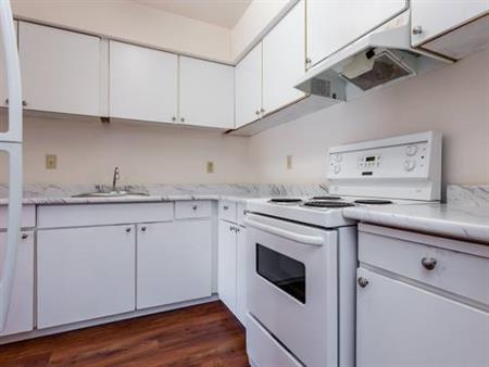 1 Bedroom Apartment for rent at Westminster