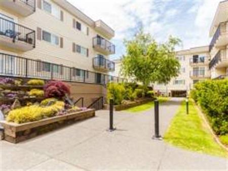 1 Bedroom Suite at Ashwood Park (Near UVIC)