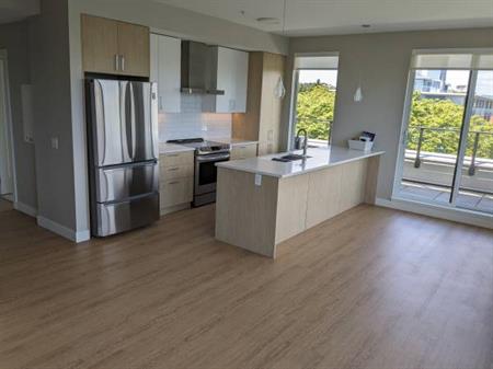 Beacon on the Park- Deluxe Penthouse! 2 Bedroom, 2 Bathroom $4290