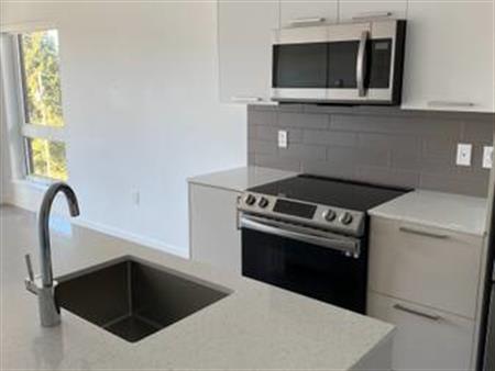 PET FRIENDLY! 2 BR+2BATH GROUND LEVEL SUITE