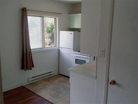 Need your own space? Pet friendly studio apartment