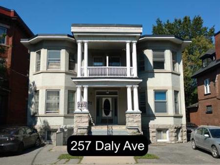 Sandy Hill Bachelor/Studio Apartment for Rent (257 Daly Ave)