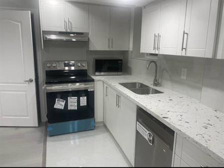 UofT 1 bedroom basement apartment