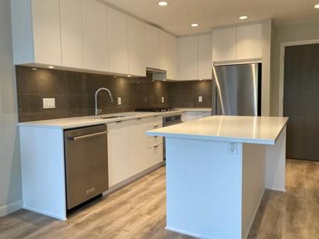 $2,690 / 2br - 2 bath 840ft2 - New apartment (Burquitlam)