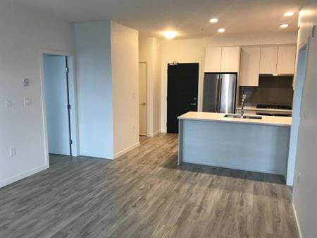 2 Bedroom 2 Bathroom Burquitlam