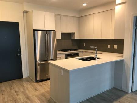 2 Bedroom 2 Bathroom Burquitlam