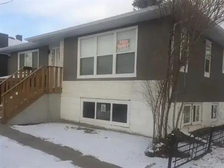 3 bedroom basement suite for rent early October, 2024 | 10503 79 Street Northwest, Edmonton