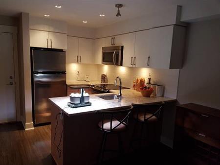 1 Bedroom/Bathroom for Rental Available August 1st Near RCH