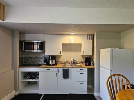 Merritt: 1 bed/1 bath suite on the Bench - newly renovated