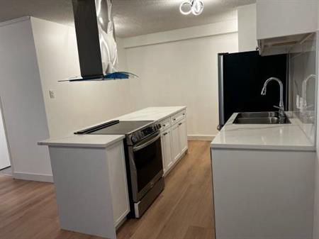 Fully renovated 2-bedroom apartment