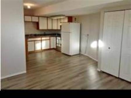 Bright centrally located 1bedroon basement suite
