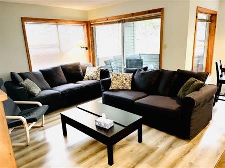Powderview - Long Term Furnished 1 BDR condo