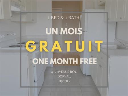 UN MOIS GRATUIT I Spacieux UNE chambre à louer - 1500$/MOIS