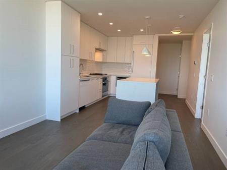Brand New AC furnished 1 Bed