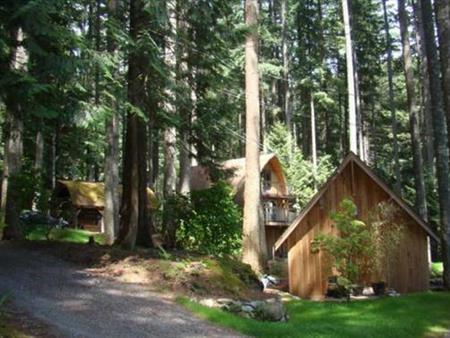 Several suites available on beautiful forrest property