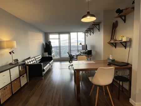 Furnished Park Place II 2b2b apartment