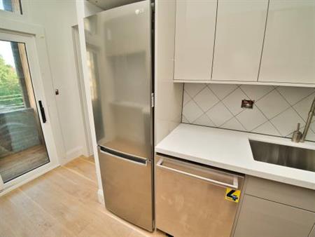 Brand New Spacious 2-Bedroom Apartment in Parkdale Queen West