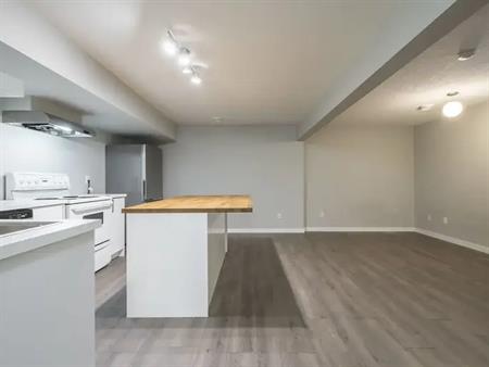 BEAUTIFUL 2 bedroom basement in Forest Heights available Immediately! | Edmonton