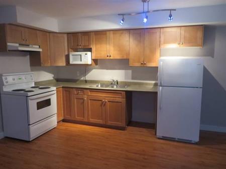 West Cloverdale 2 bedroom Basement Suite for Rent