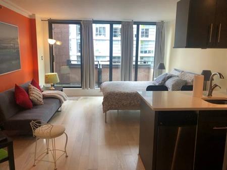 Move in fantastic furnished downtown