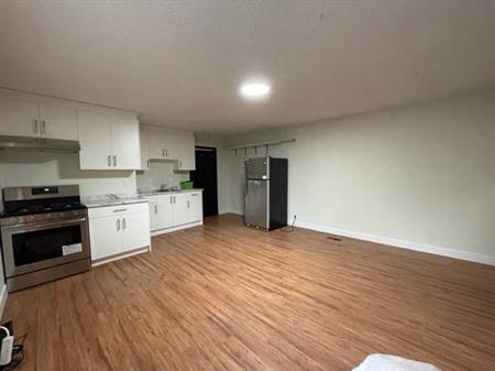 Large studio in the Semiahmoo area