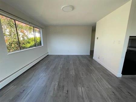 Newly Renovated 2nd Floor 1 Bedroom Apartment