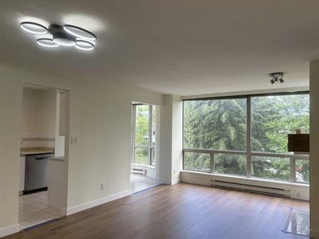 Brandnew-reno 2 beds & 2 bath condo near SFU