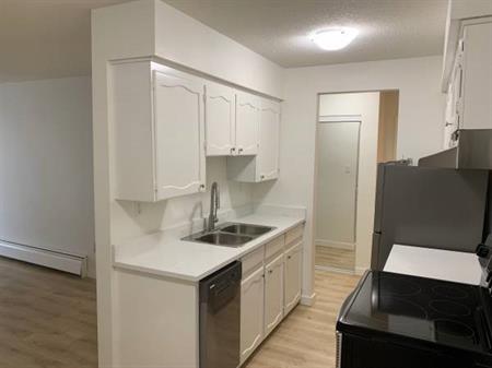 Large 2 Bedroom, 1 Bath Apartment