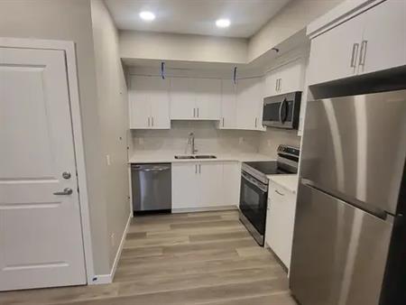 Brand New Modern and Beautiful Legal Basement Suite - Rangeview, Calgary | Calgary