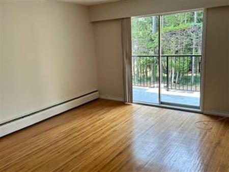 Bright & Spacious 1 Bedroom Unit