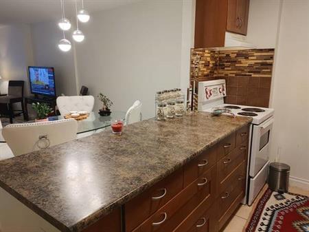 Fully Furnished Spacious 1 bedroom - central location