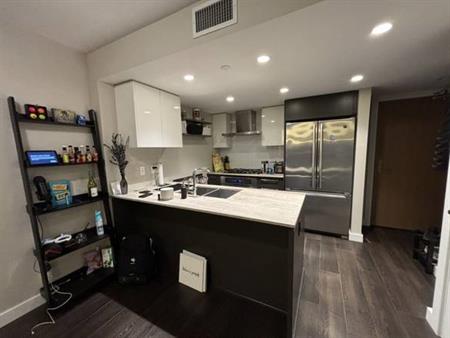 Furnished 1br+1den for sublet Sep 1st