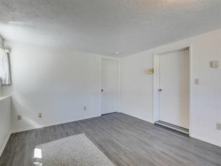 1 Bedroom Plus Den Lower Suite