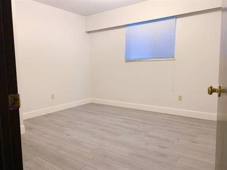 RENOVATED KILLARNEY 2BED FOR RENT(AVAIL NOW)