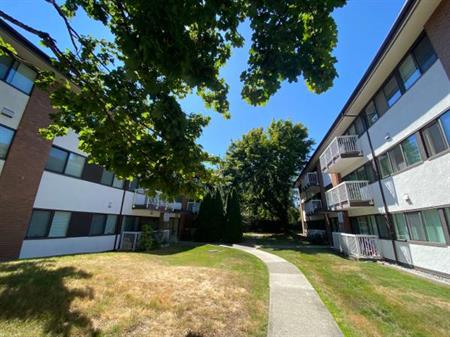 1140 sqft 3Bed 1.5Bath Apartment in South Arm, Richmond