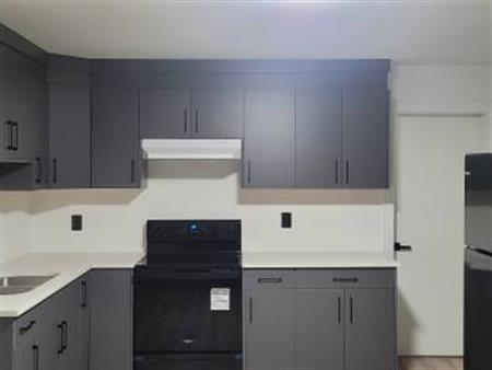 2 Bedroom 1 Bath basement suit for rent