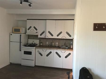 sainte agathe des monts ,petit studio, electricite ,wifi ,possibiliter de stationement deneiger $ 795 $