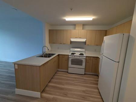 One bedroom South Burnaby (brand new building) Aug 1/Immediate