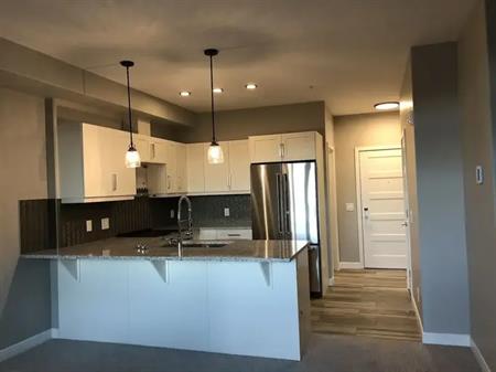 BRAND NEW CONDO NEVER BEEN LIVED BEFORE.  2 Bedroom at The Apollo by Greenwich | 1211 - 80 Greenbriar Way NW, Calgary