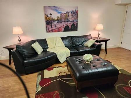 1 bedroom and den fully furnished suite