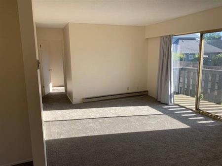 Bright 2 bedroom corner suite in Sidney! January 15th