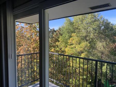 Renovated 2 Bedroom with Balcony Available Sep 1