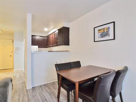 Pet Friendly Furnished Studio on 1540 Haro -Available June 1st