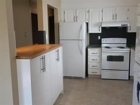 Mt. Pleasant: Main Floor. Renovated. Balcony. Near SAIT. | 508-22 ave NW, Calgary