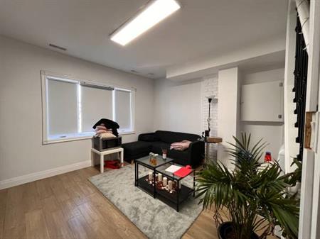 Fully renvated 3 bdrm apt in Harbord village