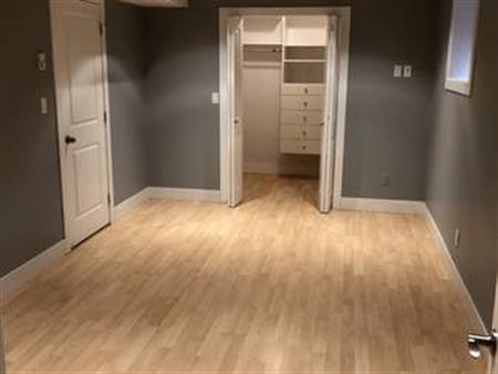 Spacious Large Basement Suite