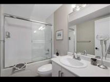 2 bedroom 1 bath basement suite South Surrey