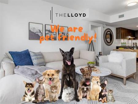 The Lloyd | Boutique Luxury Apartments